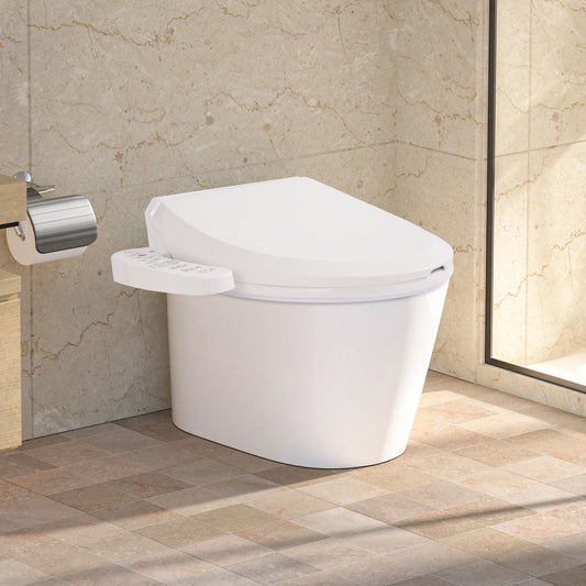 Smart Bidet Toilet